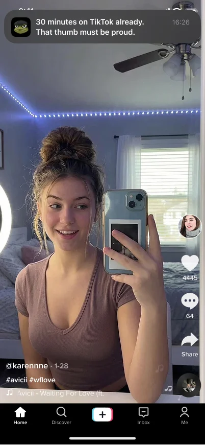 Frogged push notification roasting user for too much TikTok